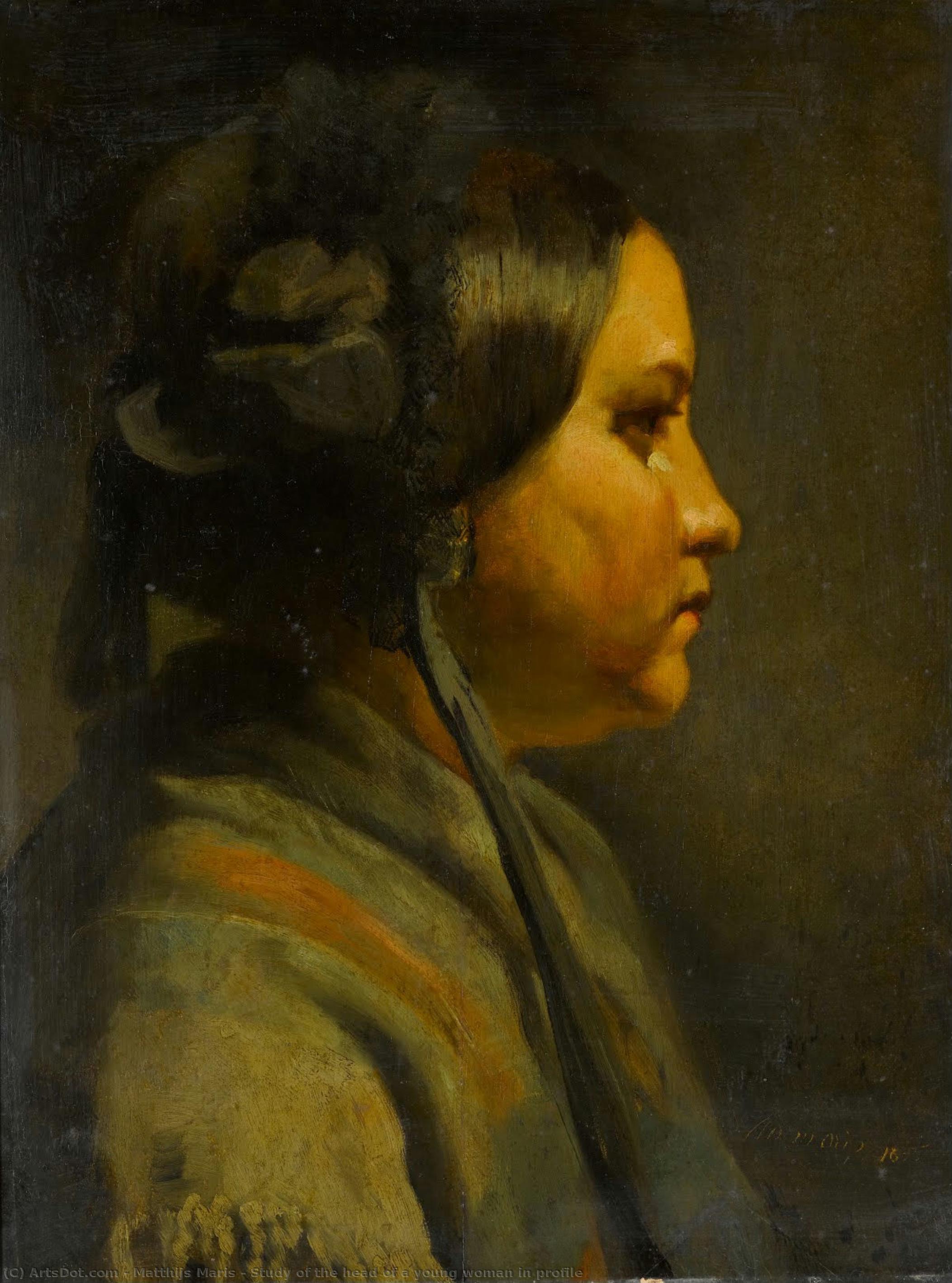 Study Of The Head Of A Young Woman In Profile — Matthijs Maris