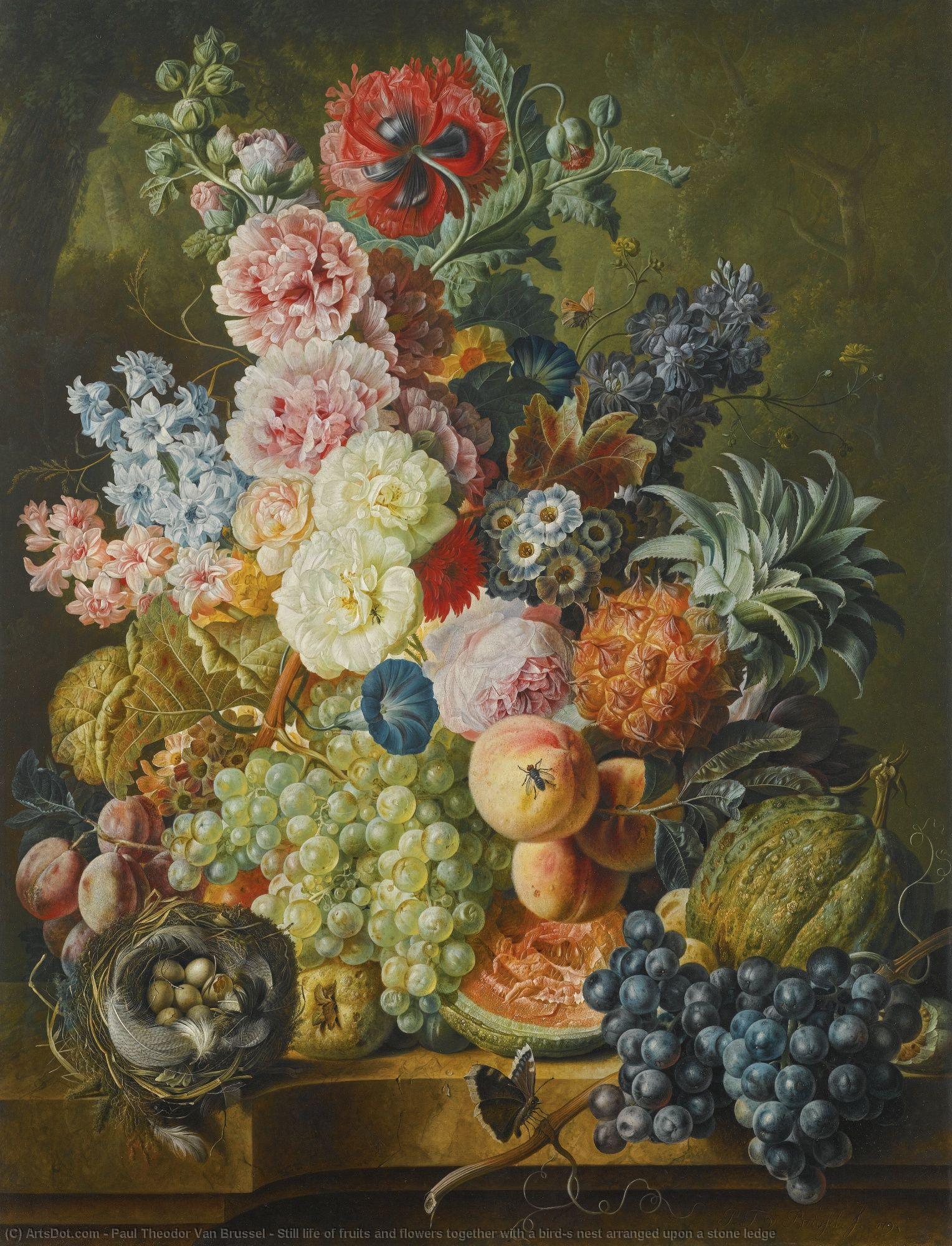 Still Life Of Fruits And Flowers Together With A Bird's Nest Arranged Upon A Stone Ledge — Paul Theodor Van Brussel