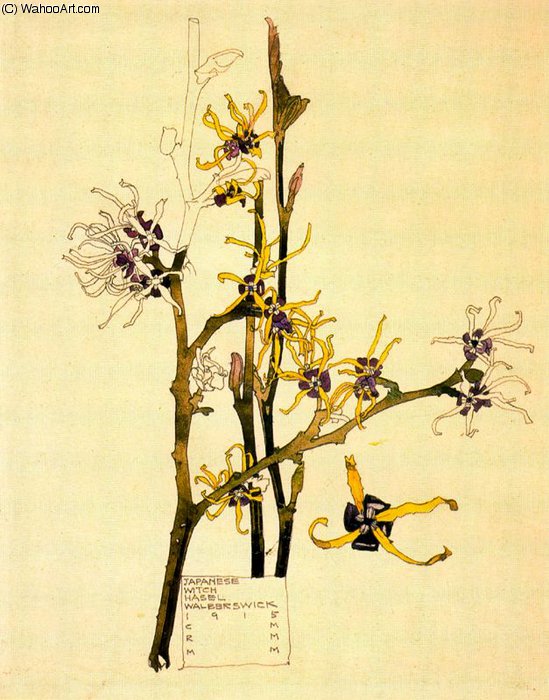 Untitled (528) — Charles Rennie Mackintosh