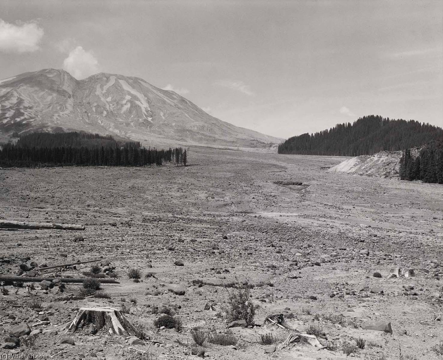 Looking Nw Across Lahar At Mount St. Helens, 6 Miles Se Of Mount St. Helens, Washington, 1984 — Frank Gohlke