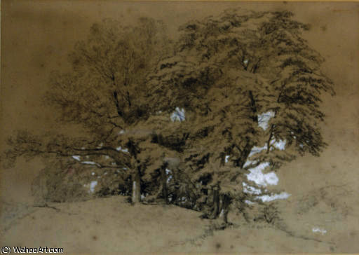 A Wooded Landscape In Bolton, Yorkshire — James Duffield Harding