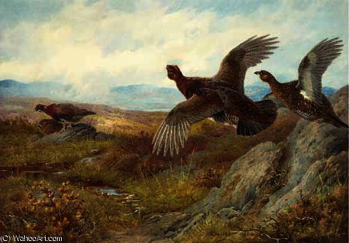 Grouse; Blackcock; Pheasant; And Partridge — アーチボルド・ソーバーン