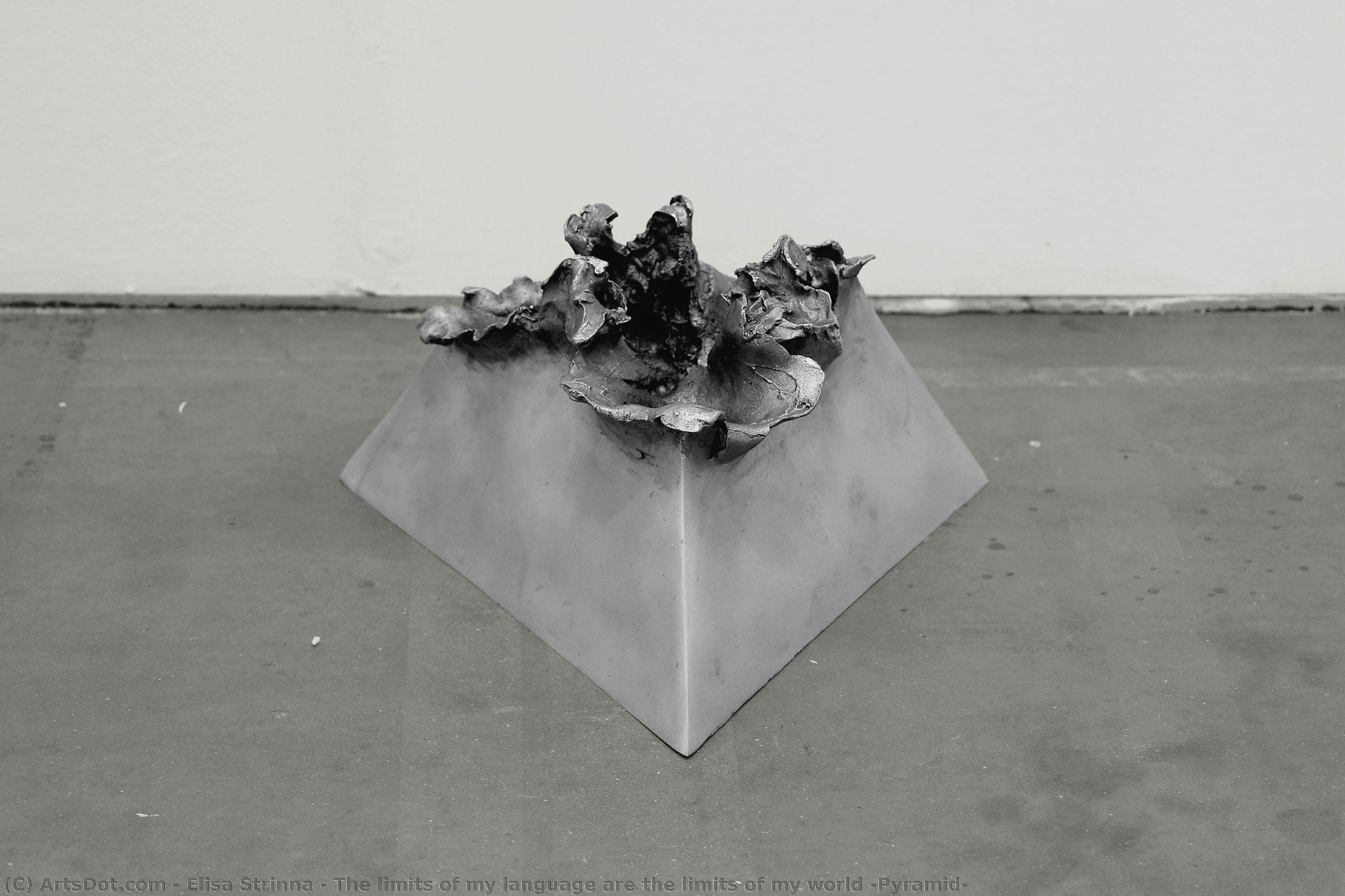 The Limits Of My Language Are The Limits Of My World (pyramid) — Elisa Strinna