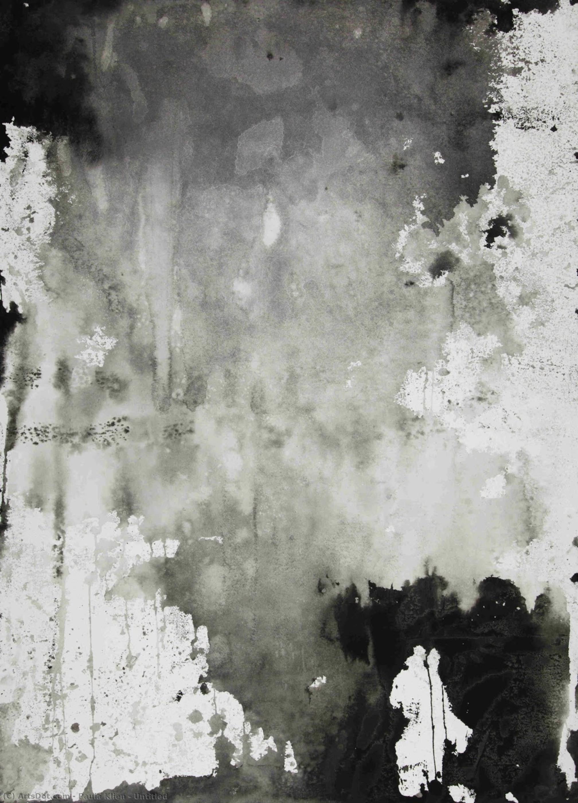 Untitled — Paula Klien