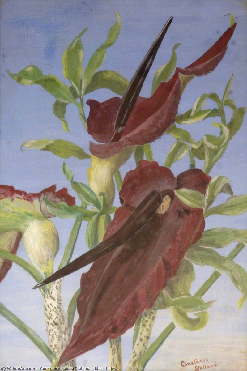 Black Lilies — Constance Louisa Stallard