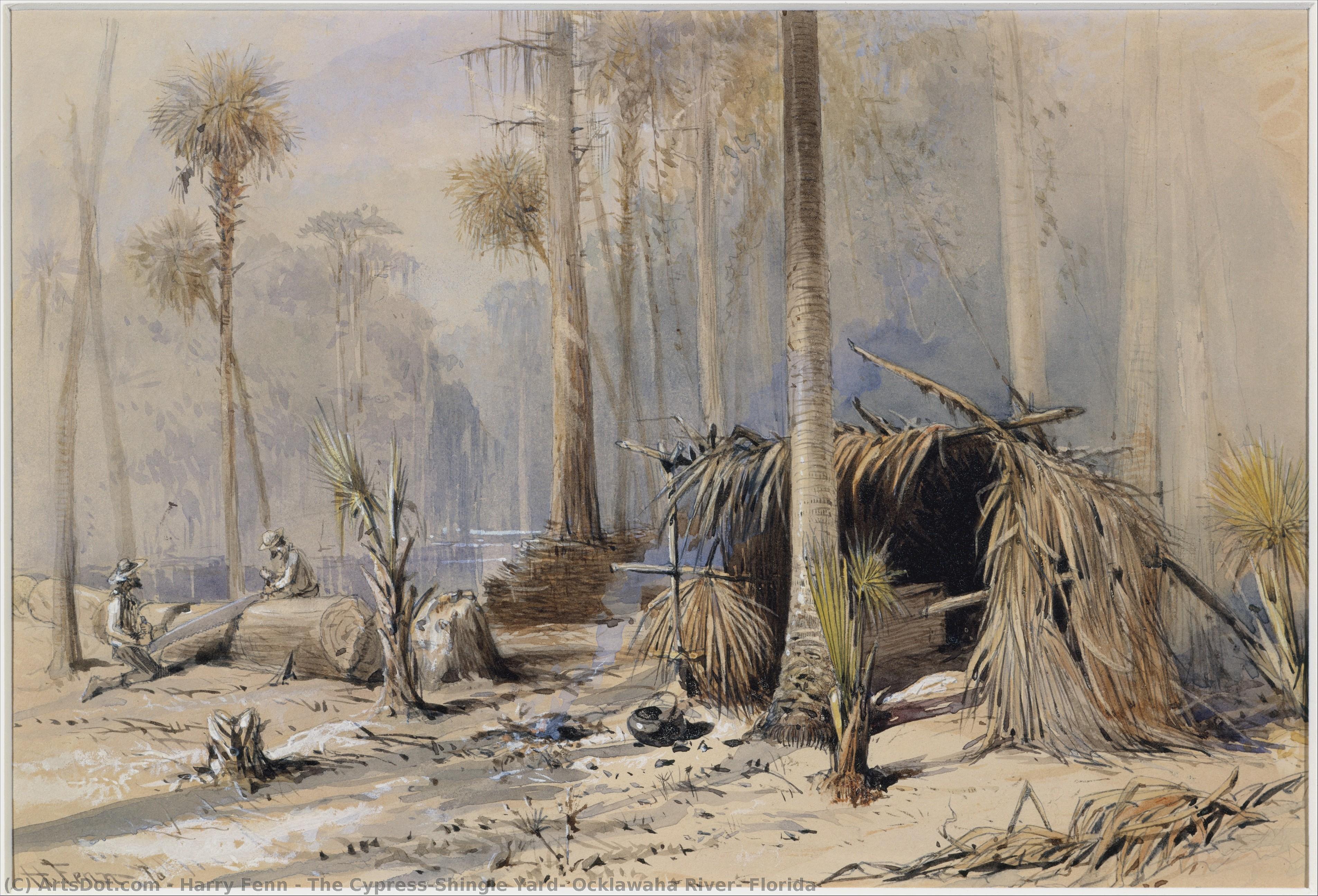 The Cypress-shingle Yard, Ocklawaha River, Florida — Harry Fenn