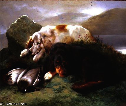 English And Gordon Setters With Mallard — Edwin Douglas