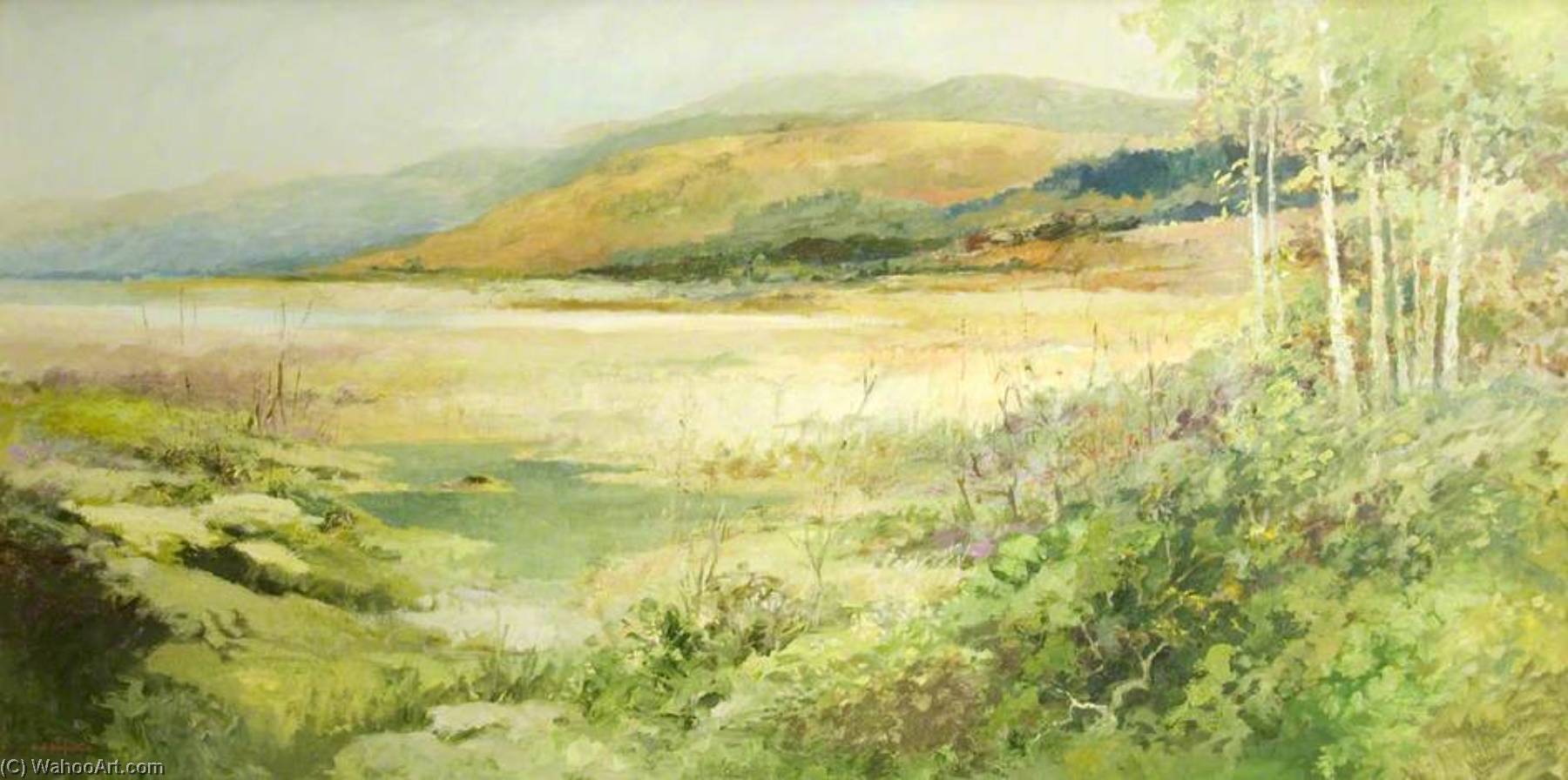 Galloway Shore — Hugh Mcneil Mcintyre