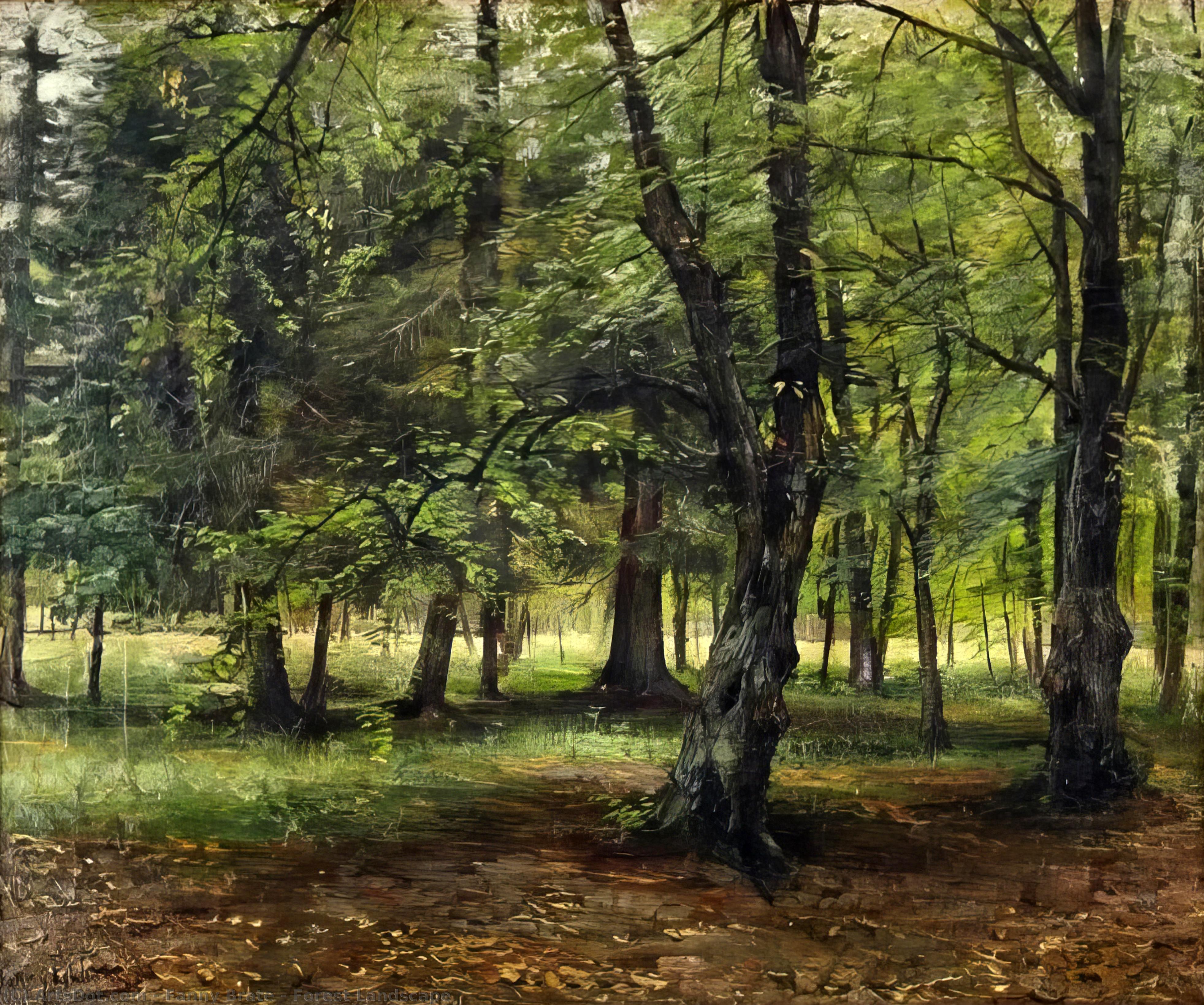 Forest Landscape — Fanny Brate