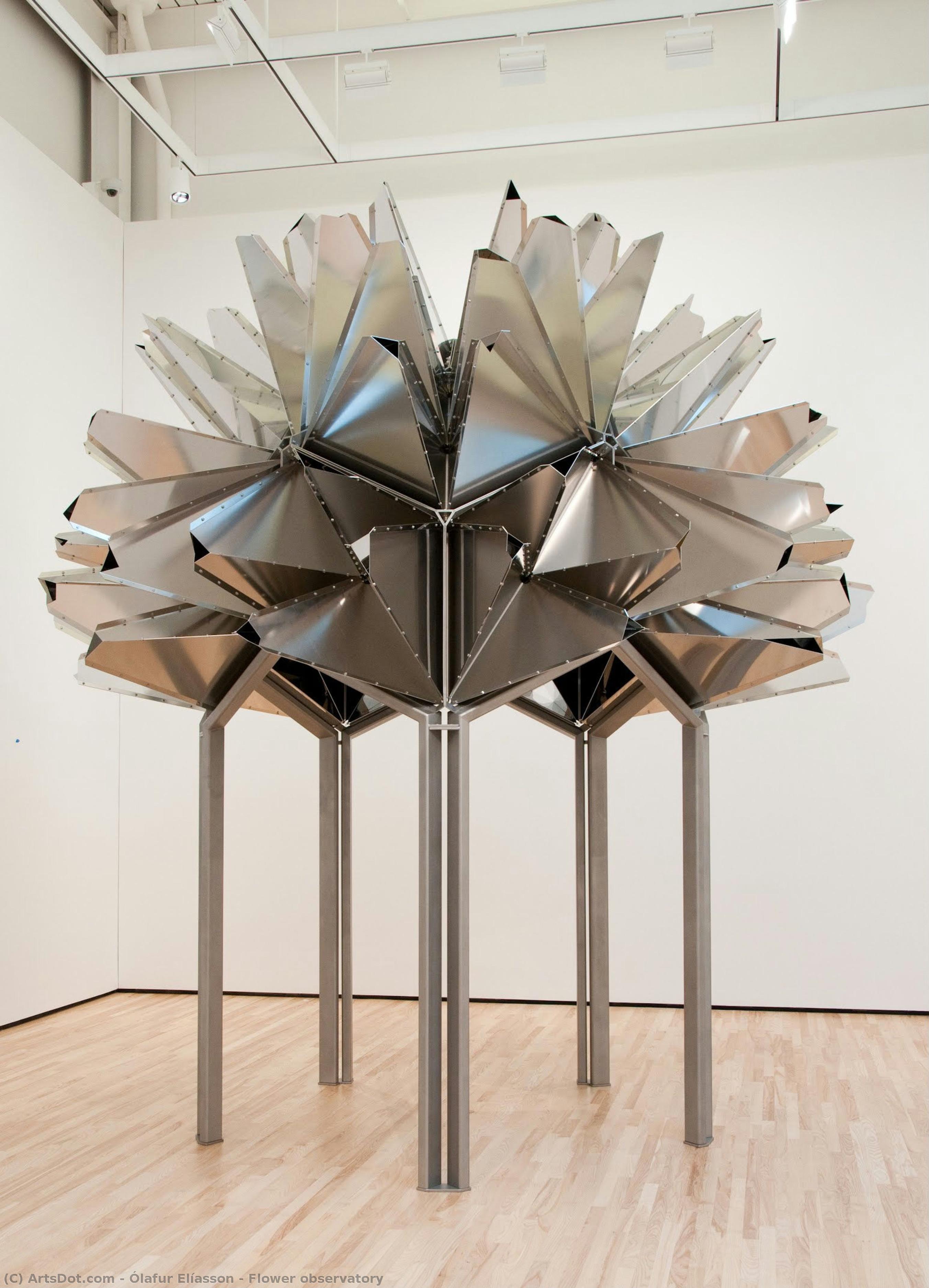 Flower Observatory — Ólafur Elíasson
