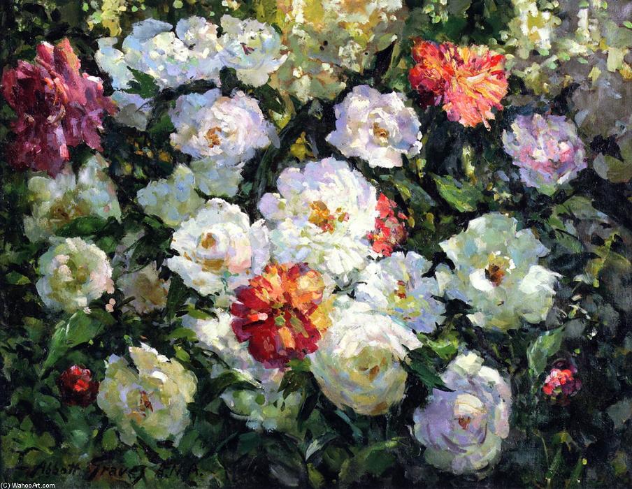 Peonies — Abot Fuler Graves