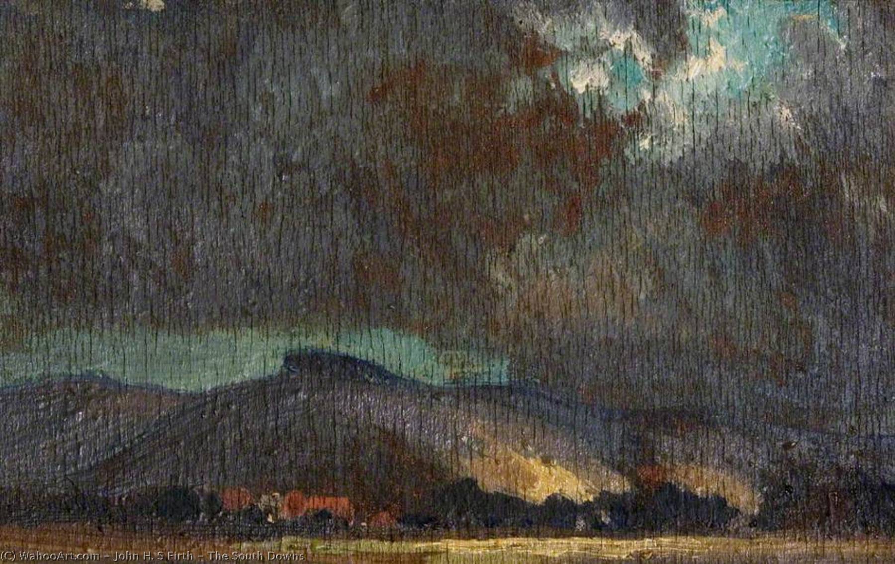 The South Downs — John H. S Firth