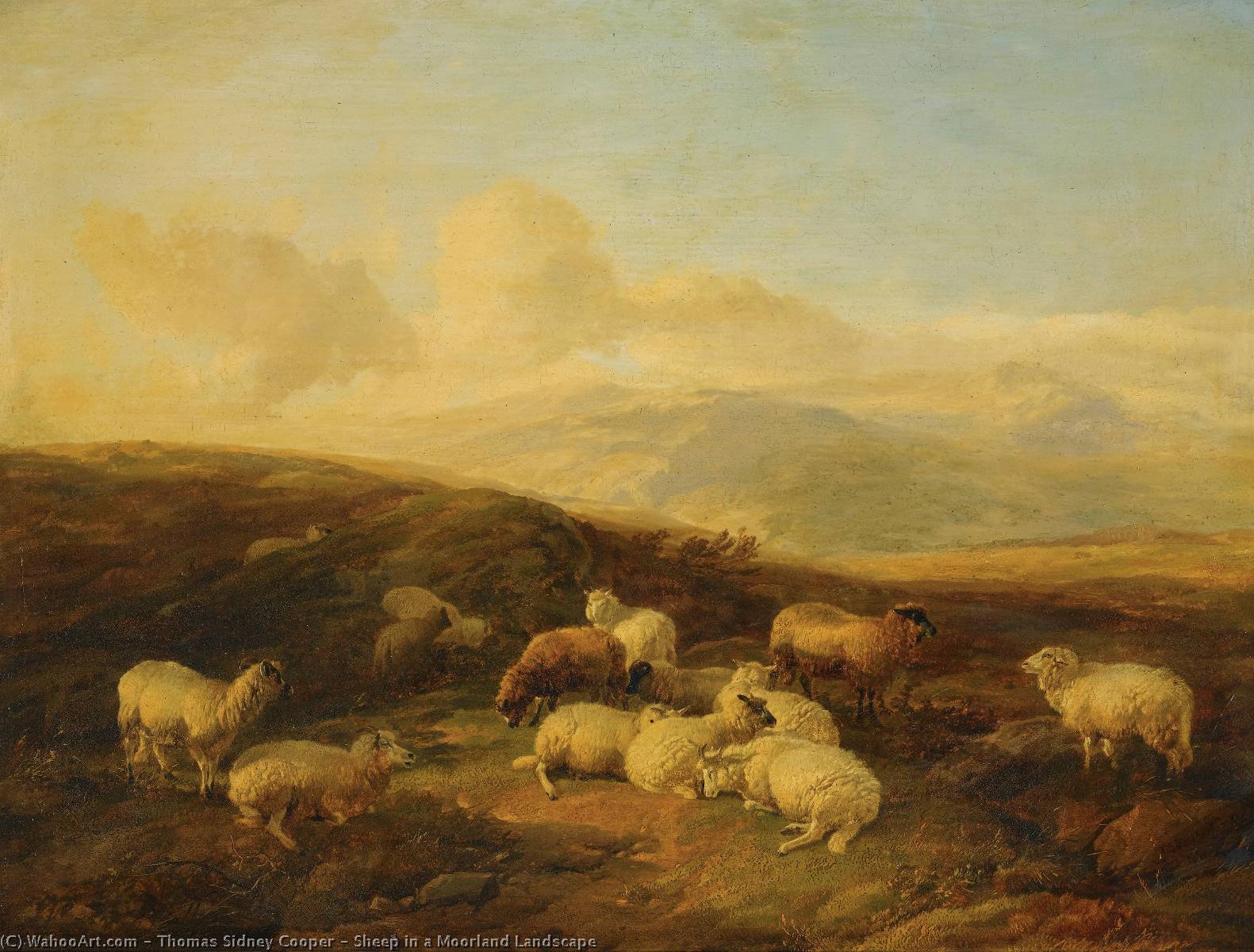 Sheep In A Moorland Landscape — Томас Сидни Купер