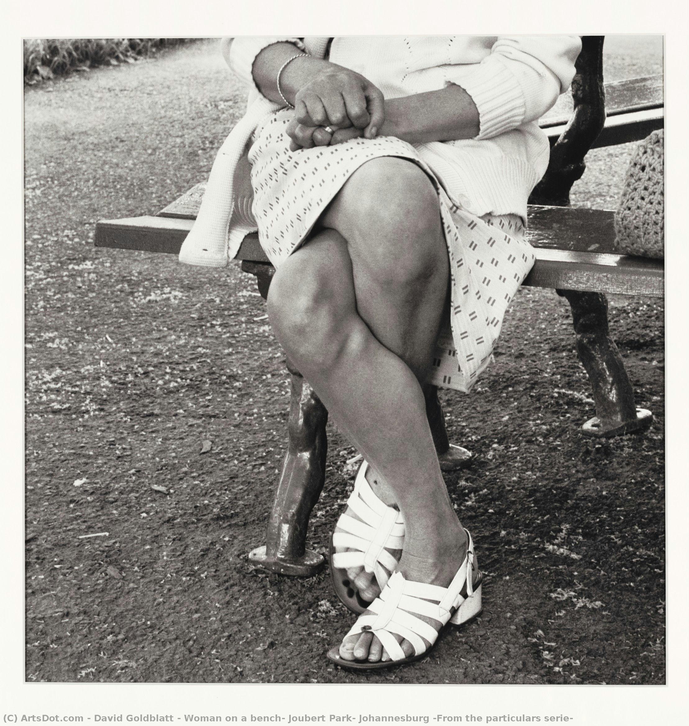 Woman On A Bench, Joubert Park, Johannesburg (from The Particulars Serie) — David Goldblatt
