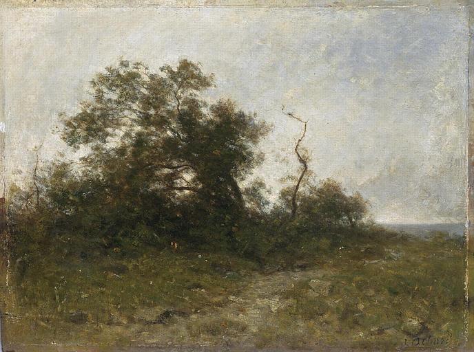 Massif D'arbres Au Bord De La Mer. Environs D'honfleur — Jean Alexis Achard