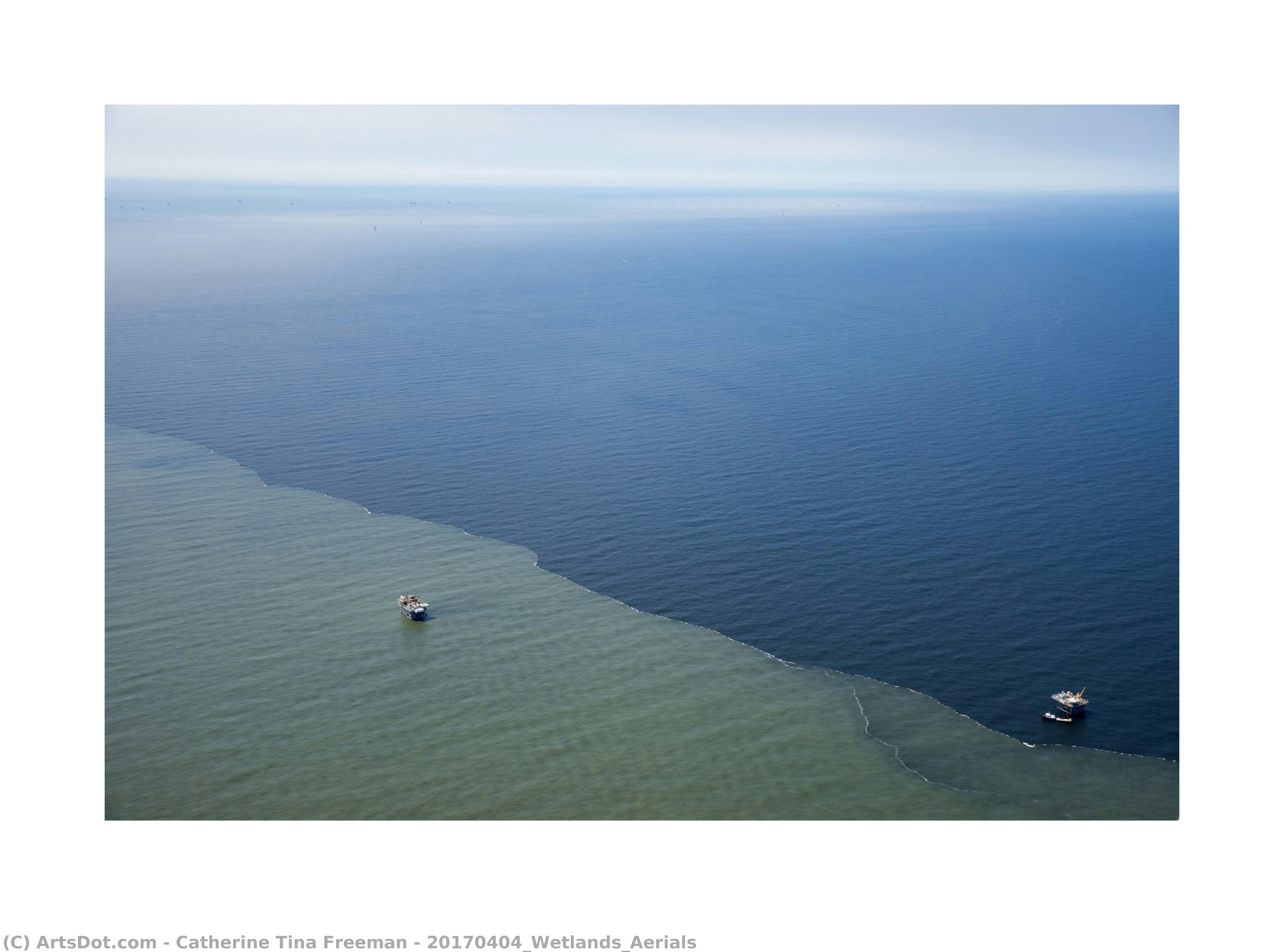 20170404_wetlands_aerials — Catherine Tina Freeman