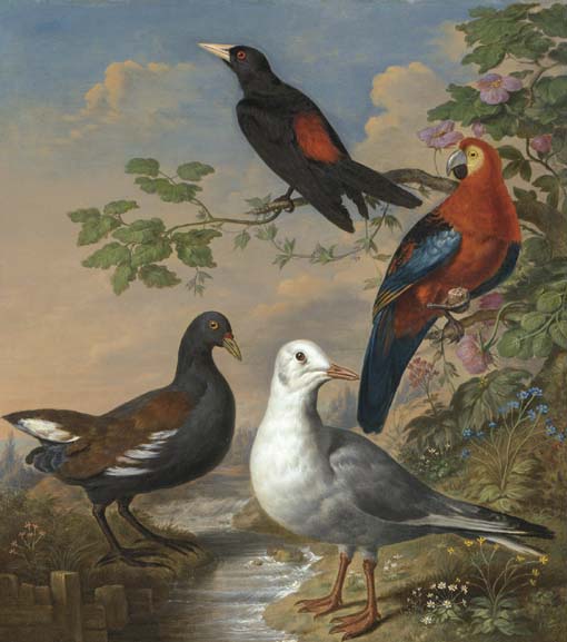 A Moorhen A Gull A Scarlet Macaw And Red-rumped A Cacique By A Stream In A Landscape — George Philip Reinagle