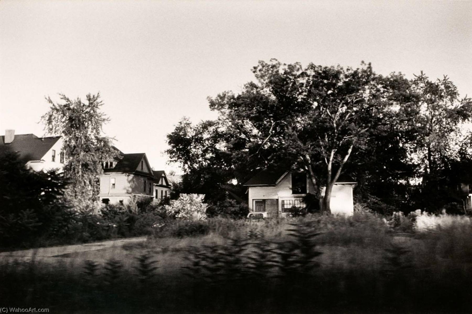 Autolandscape, Massachusetts — Elaine Mayes