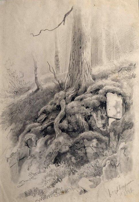 Tree Roots — Ivan Ivanovich Shishkin