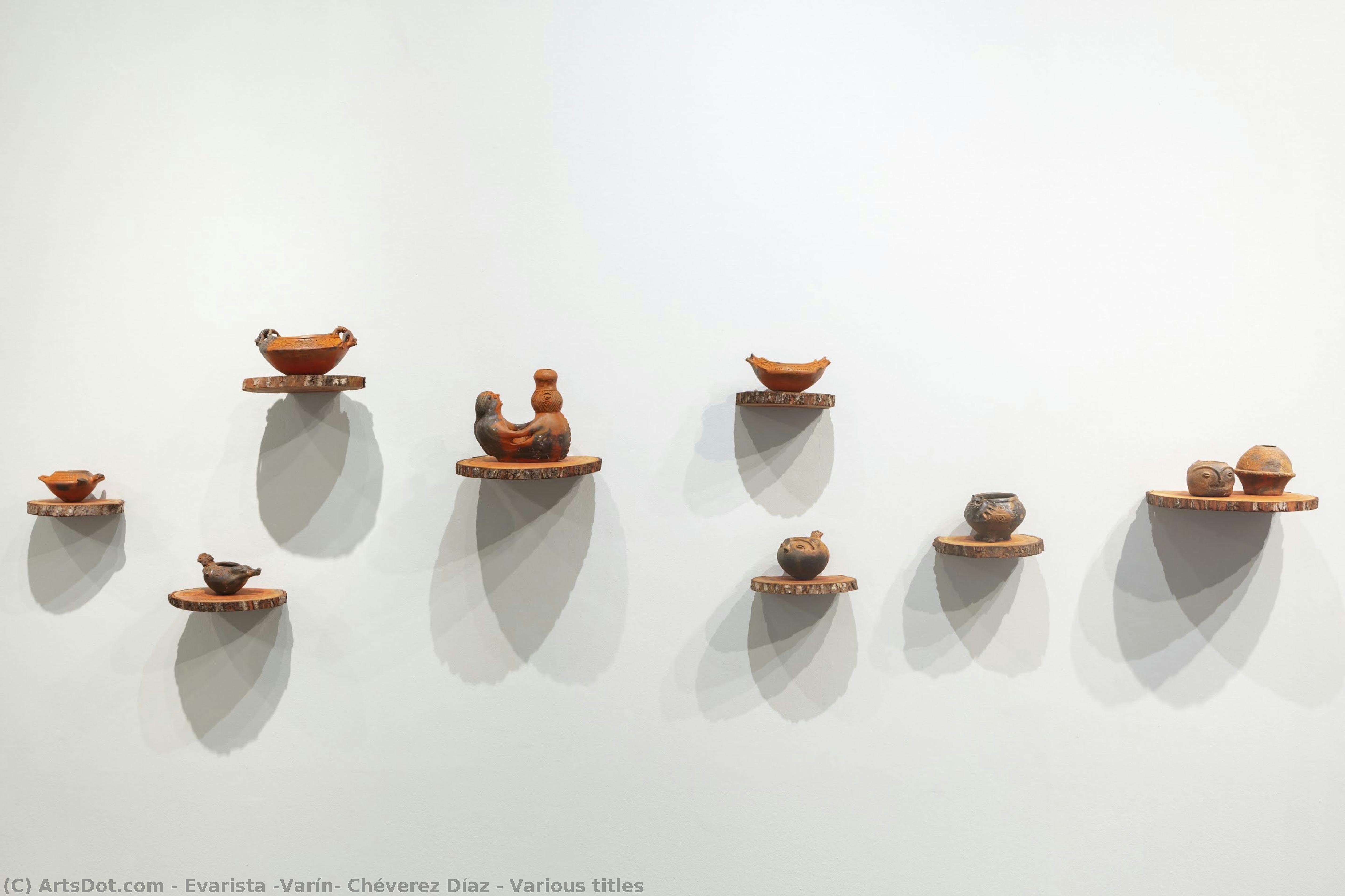 Various Titles — Evarista "varín" Chéverez Díaz