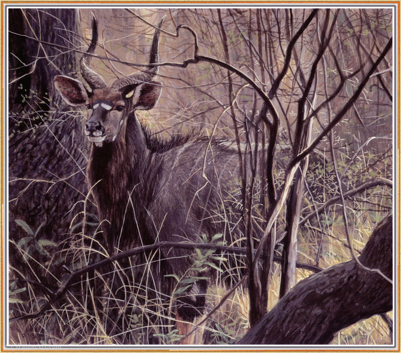 Nyala — Robert Bateman