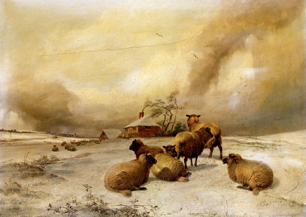 Sheep In A Winter Landscape — Tomas Sidni Kuper