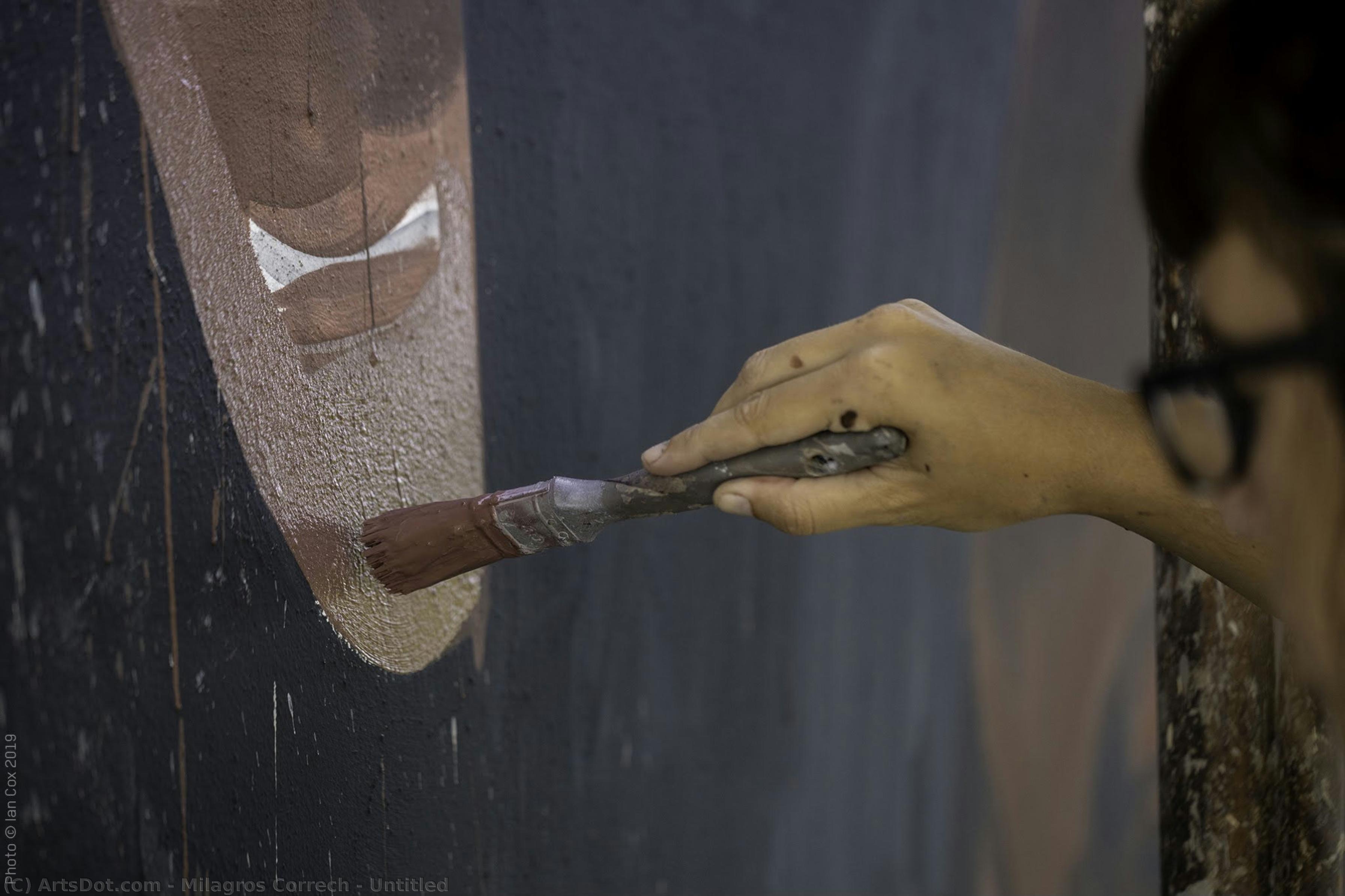 Untitled — Milagros Correch