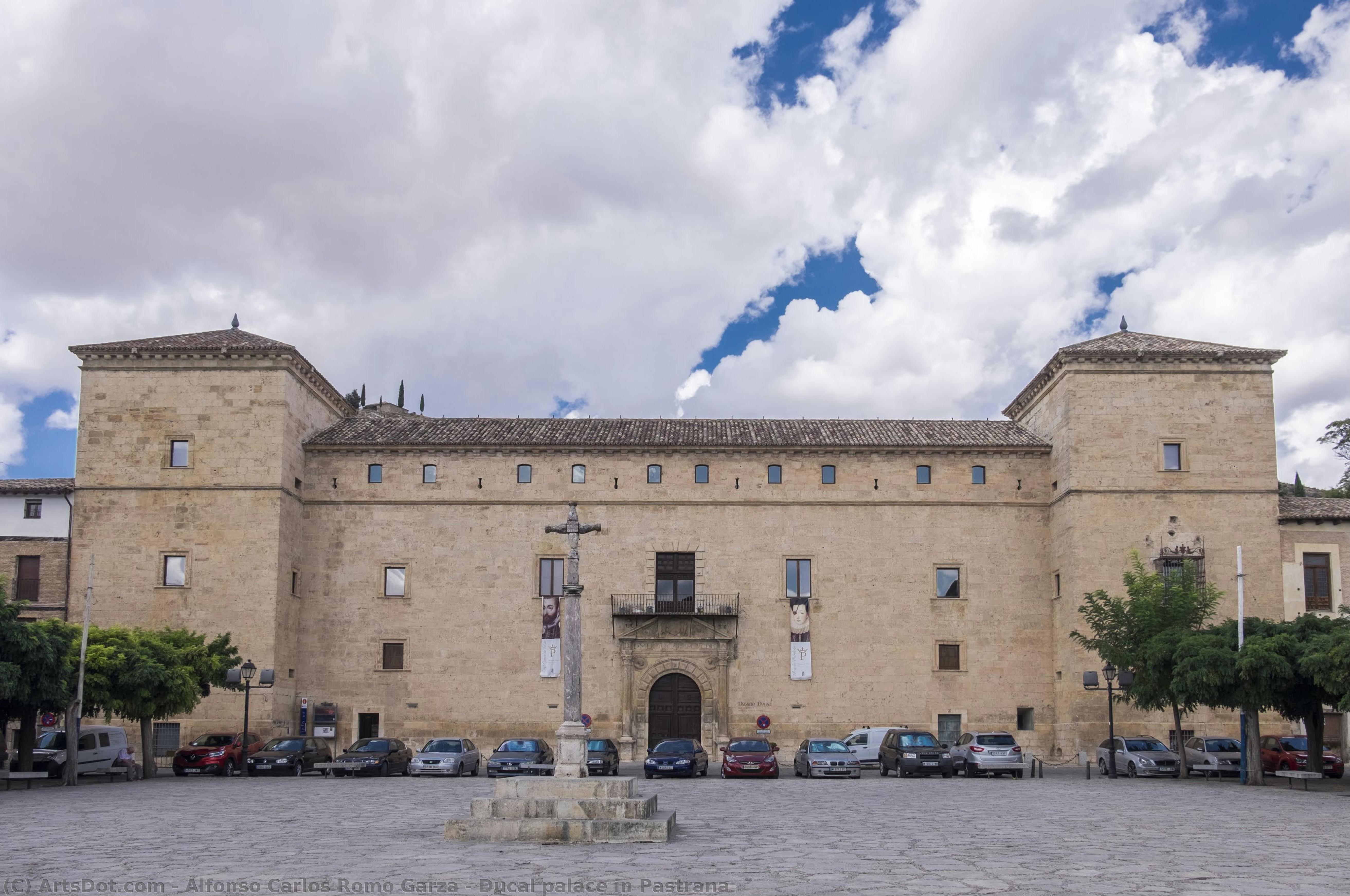 Ducal Palace In Pastrana — Alfonso Carlos Romo Garza