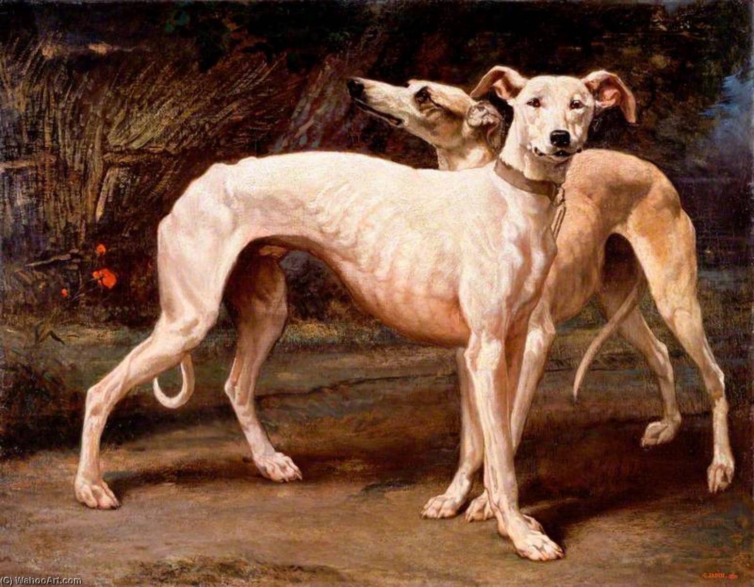Two Greyhounds — Louis Godefroy Jadin