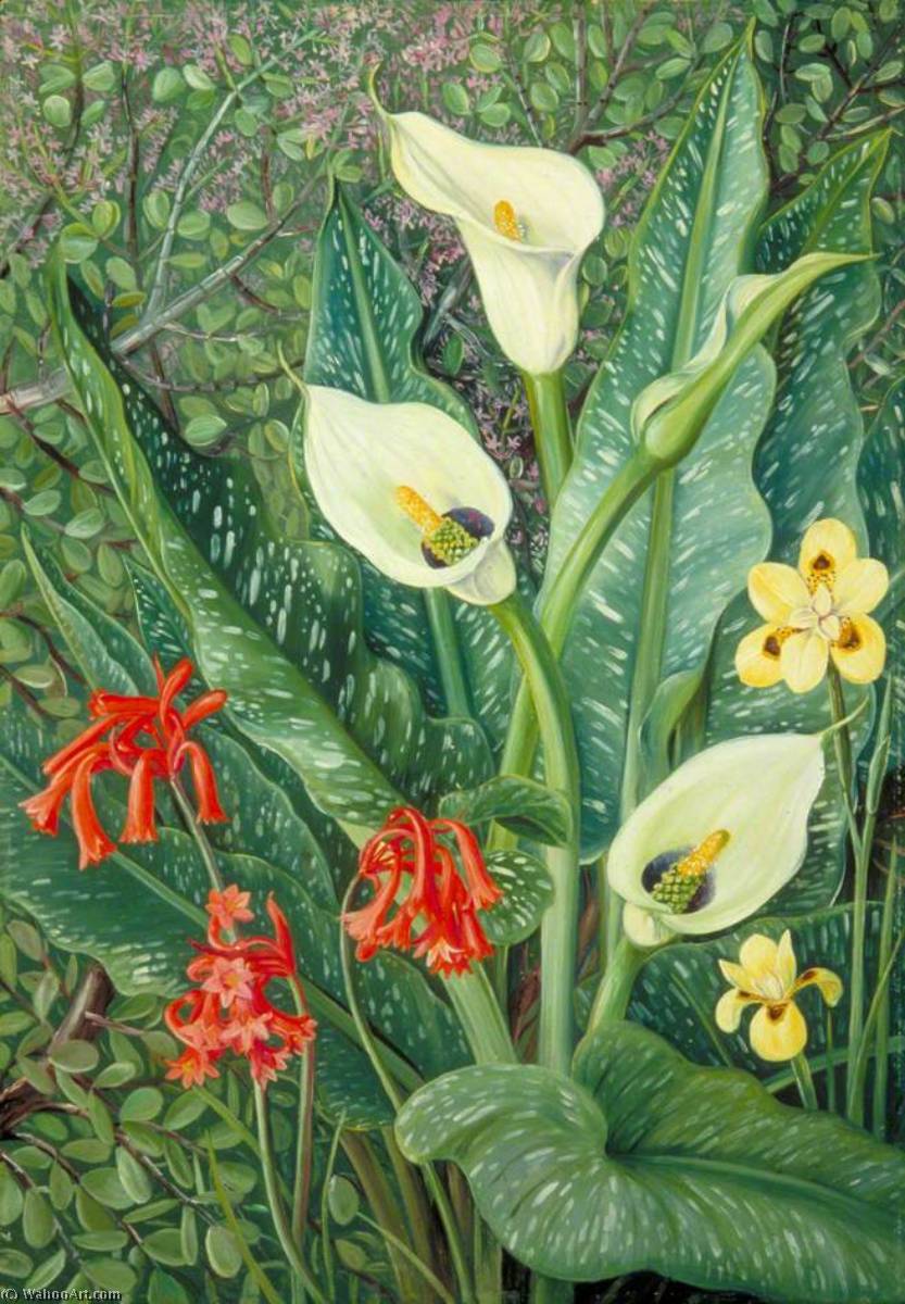 Four South African Plants — Marianne North