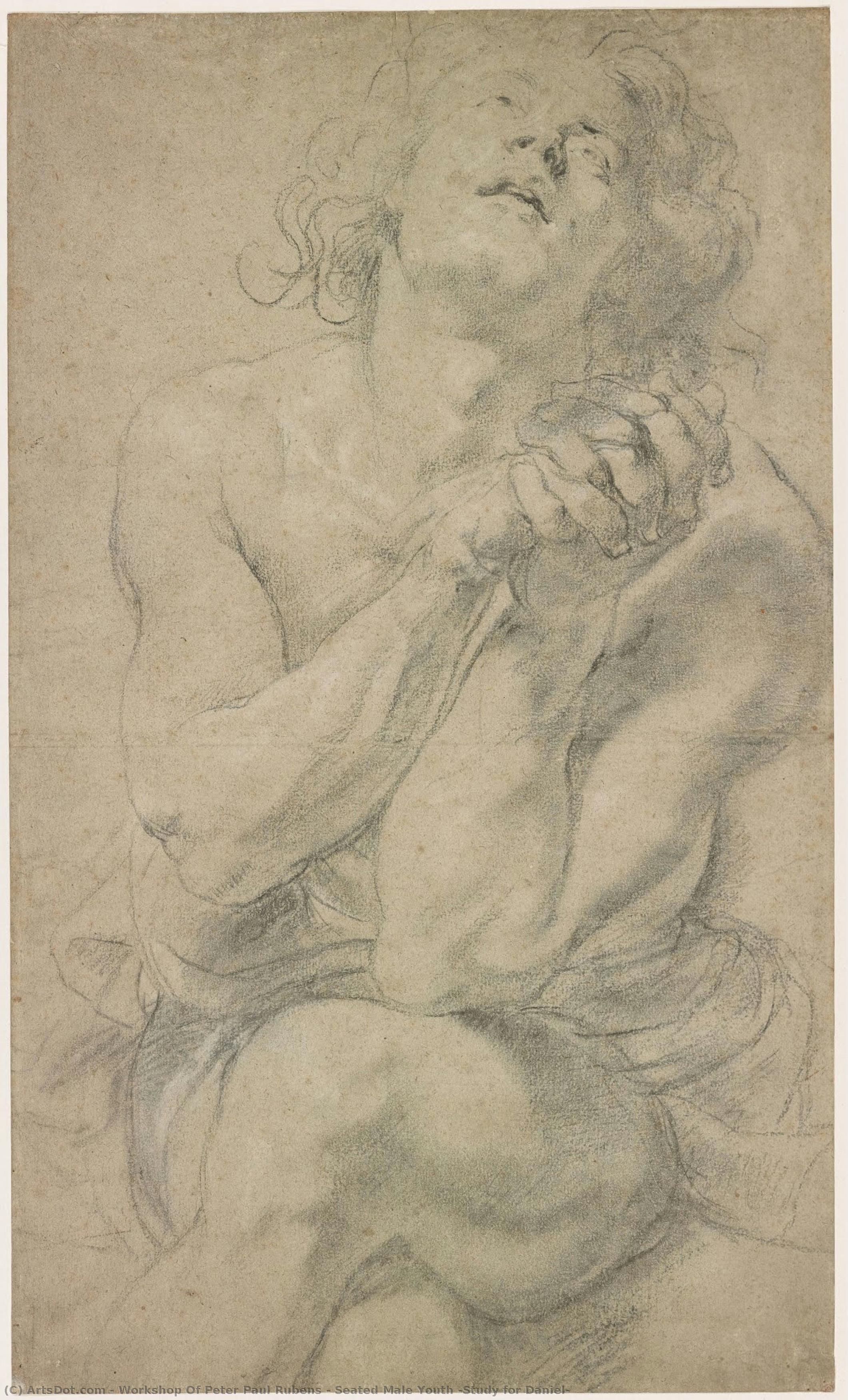Seated Male Youth (study For Daniel) — Workshop Of Peter Paul Rubens