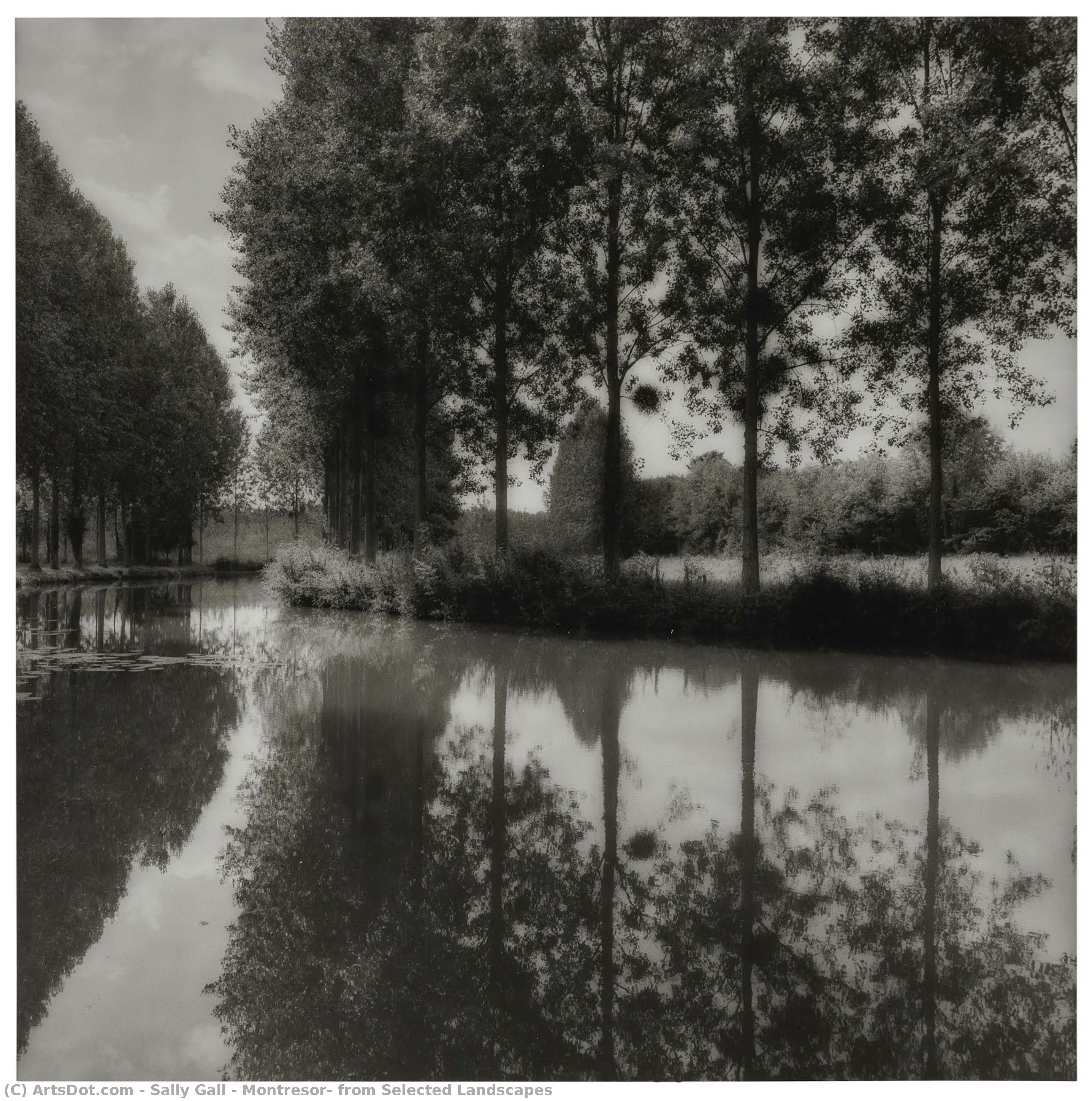 Montresor, From Selected Landscapes — Sally Gall