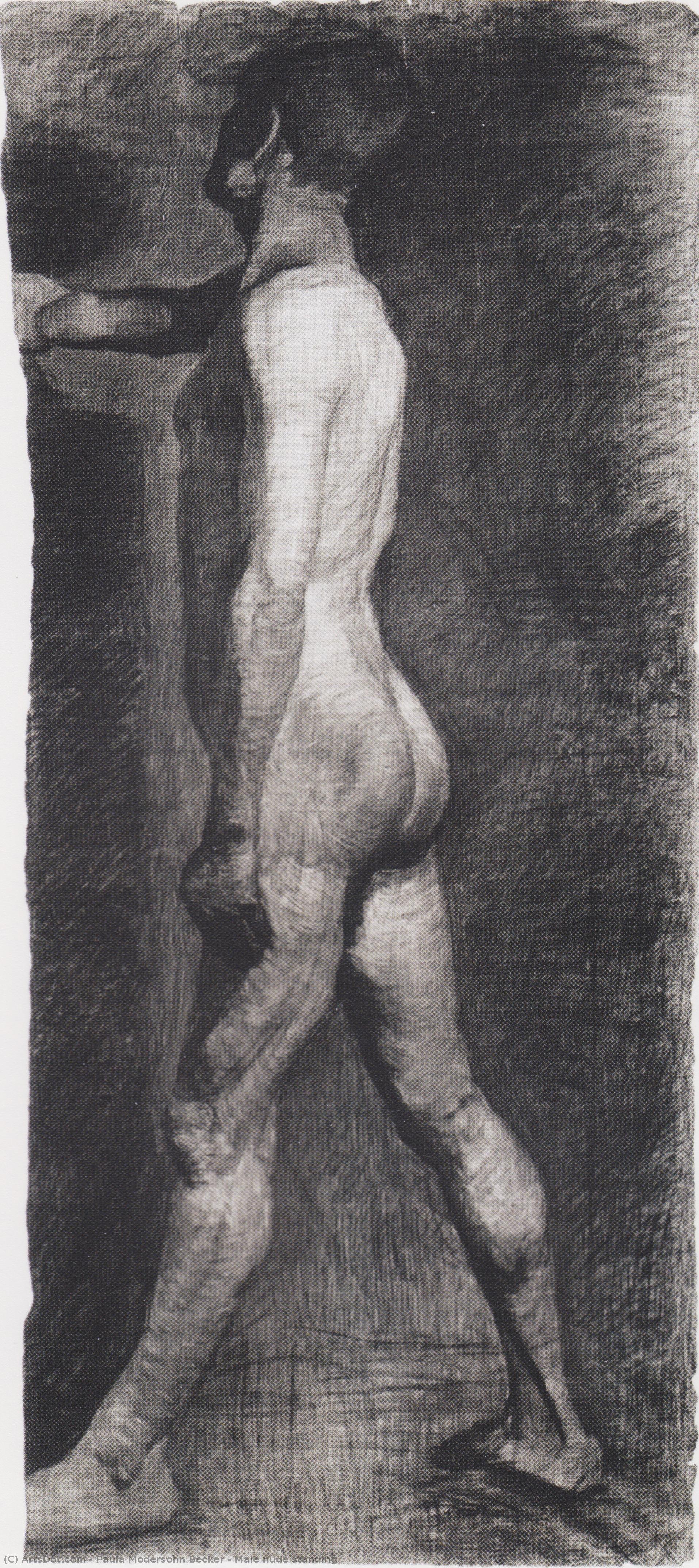 Male Nude Standing — Paula Modersohn-becker