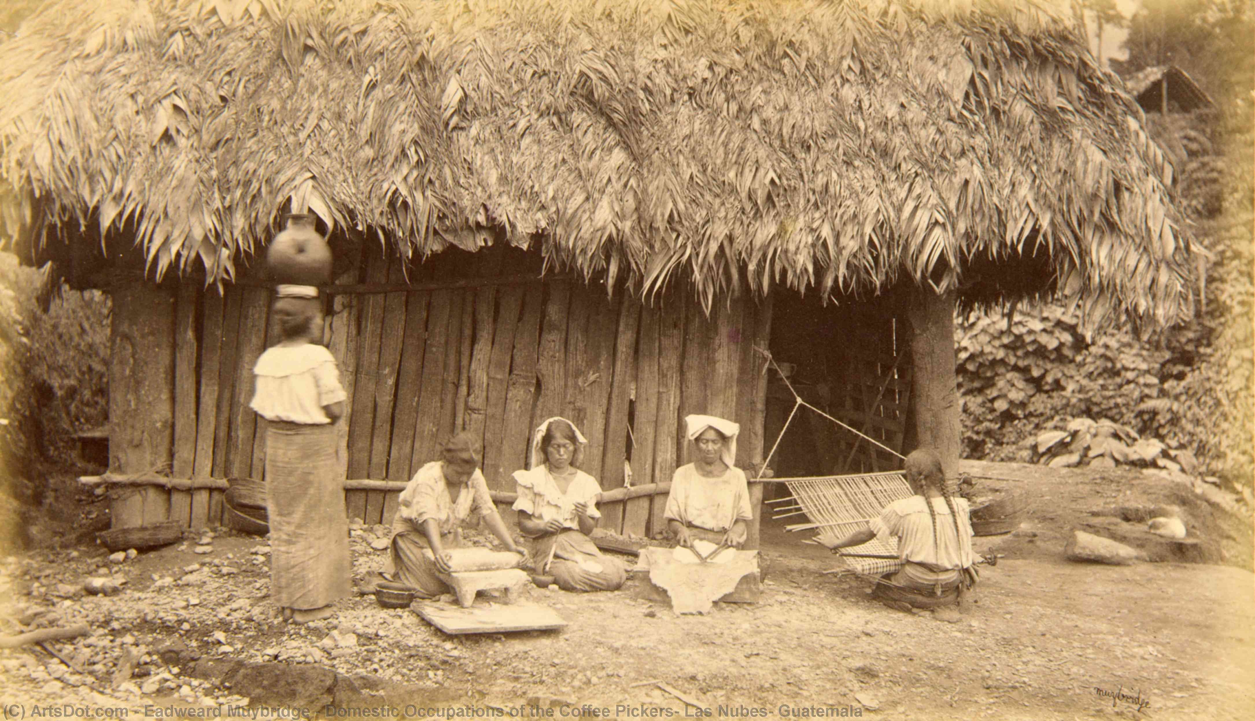 Domestic Occupations Of The Coffee Pickers, Las Nubes, Guatemala — Eadweard J. Muybridge