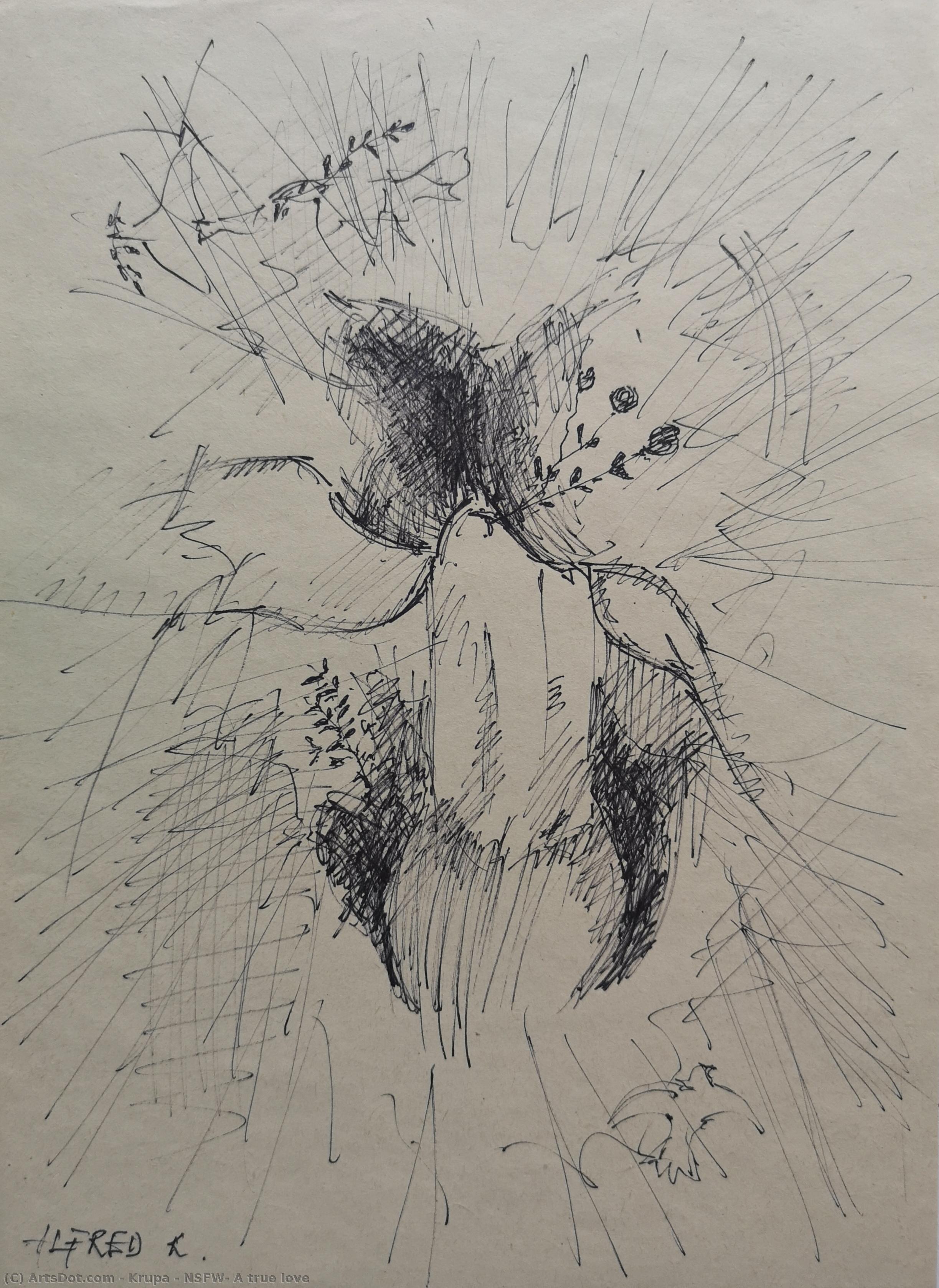 Nsfw: A True Love — Alfred Freddy Krupa
