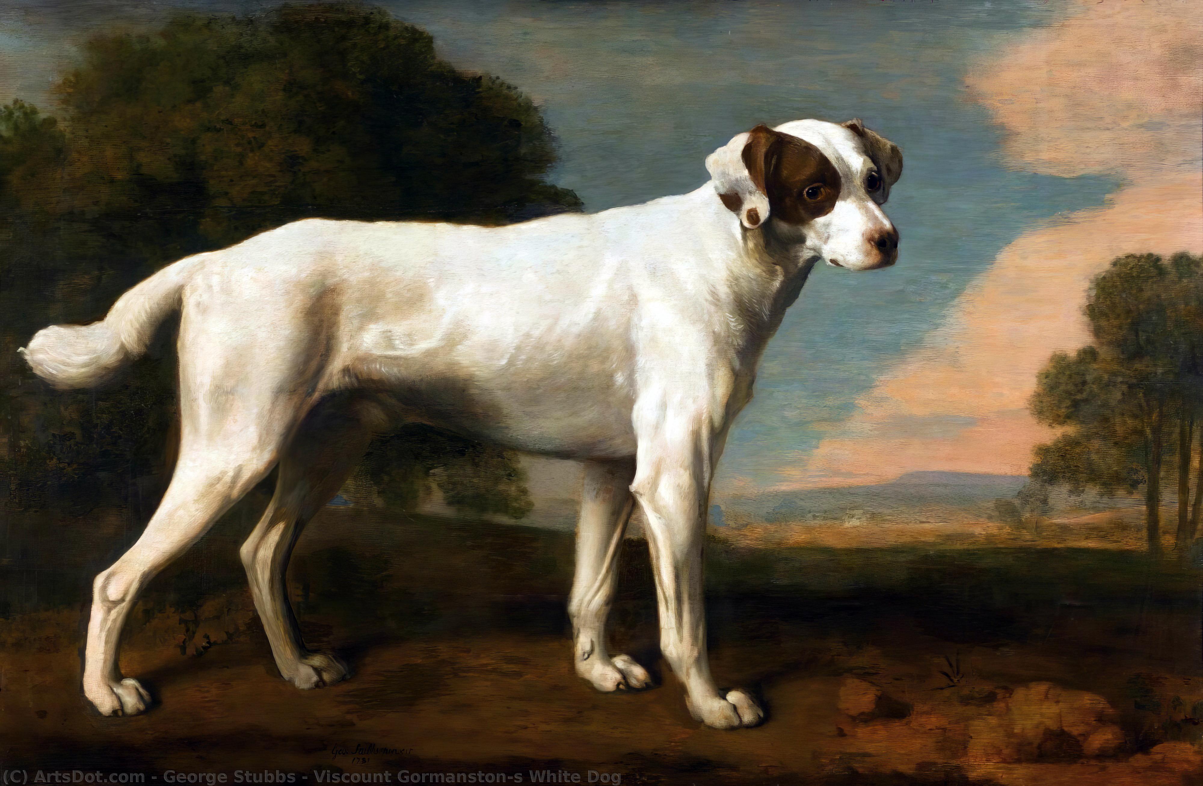 Viscount Gormanston's White Dog — Džordž Stabs
