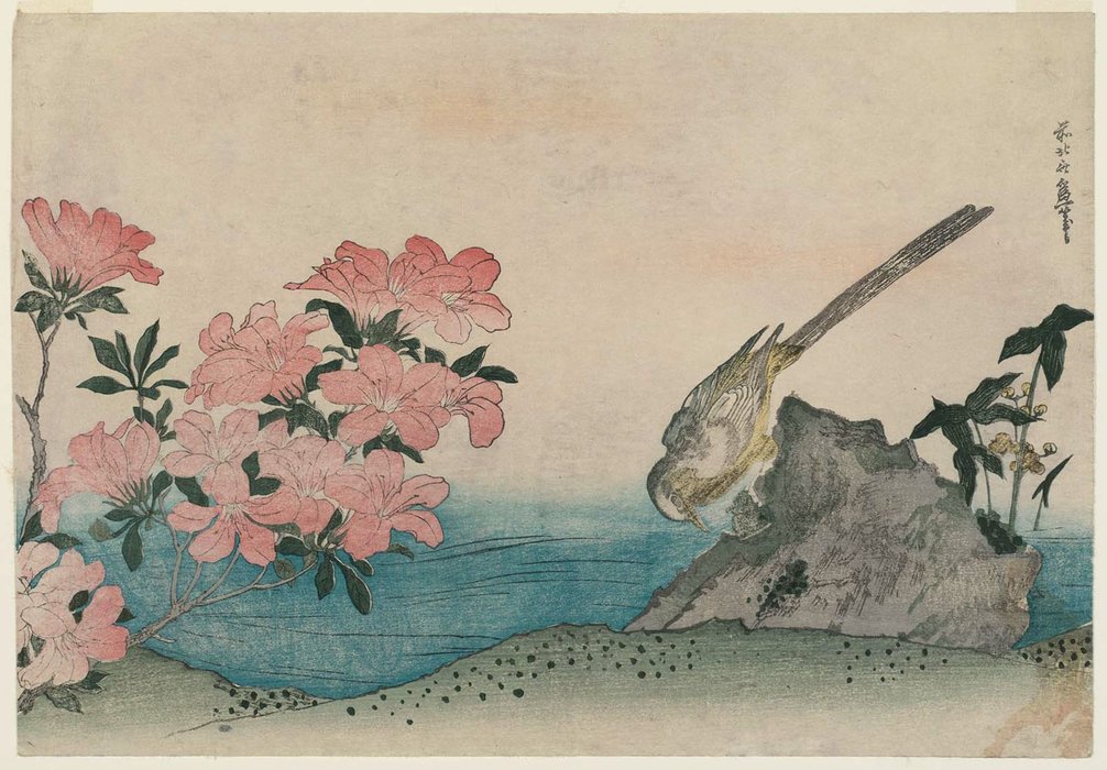 Wagtail And Azalea — Katsushika Hokusai