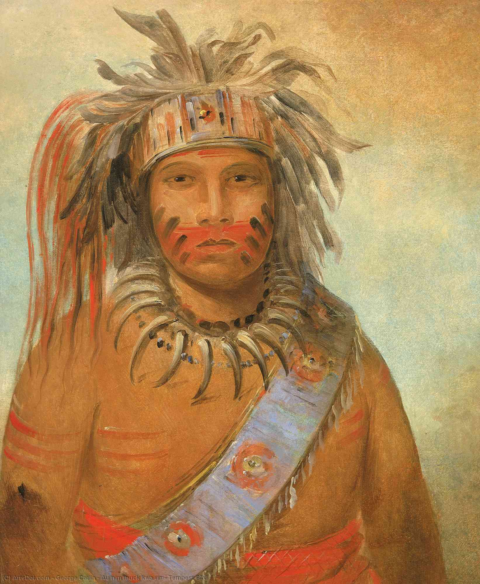 Au Nim Muck Kwa Um, Sturmvogel — George Catlin