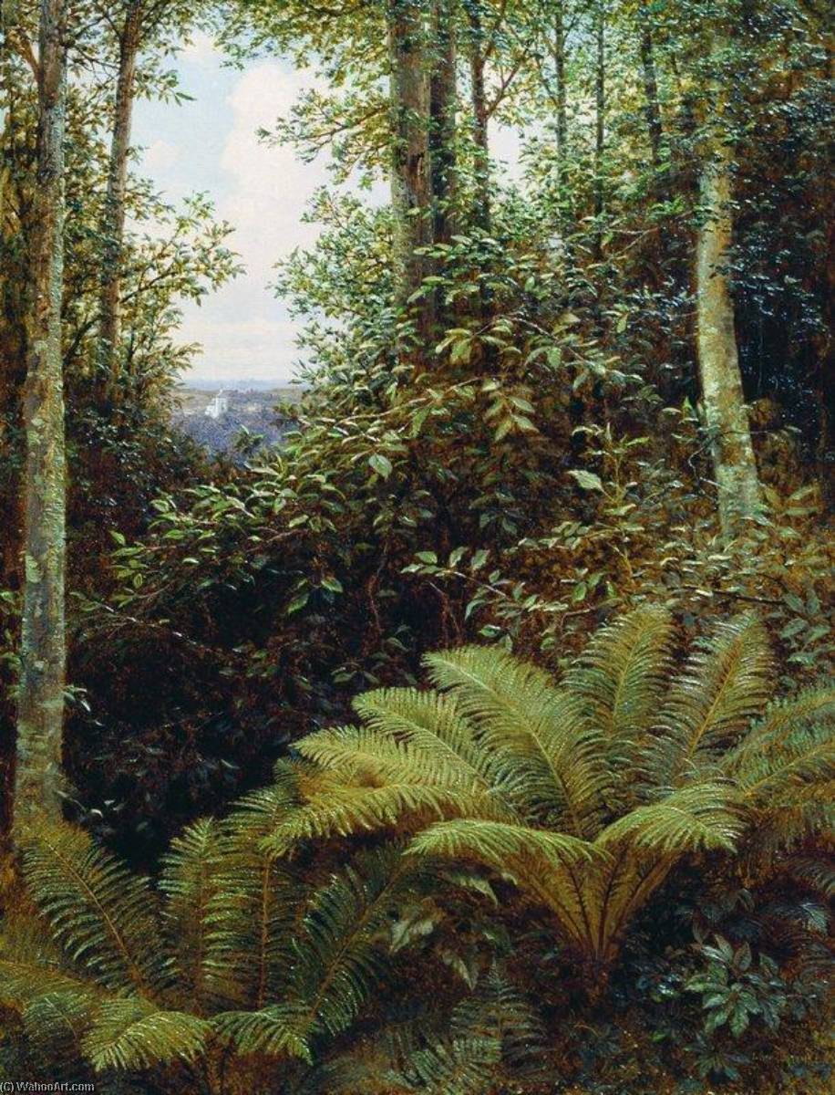 Ferns — Gavriil Kondratenko