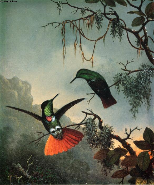 Two Hummingbirds — Мартин Джонсон Хед