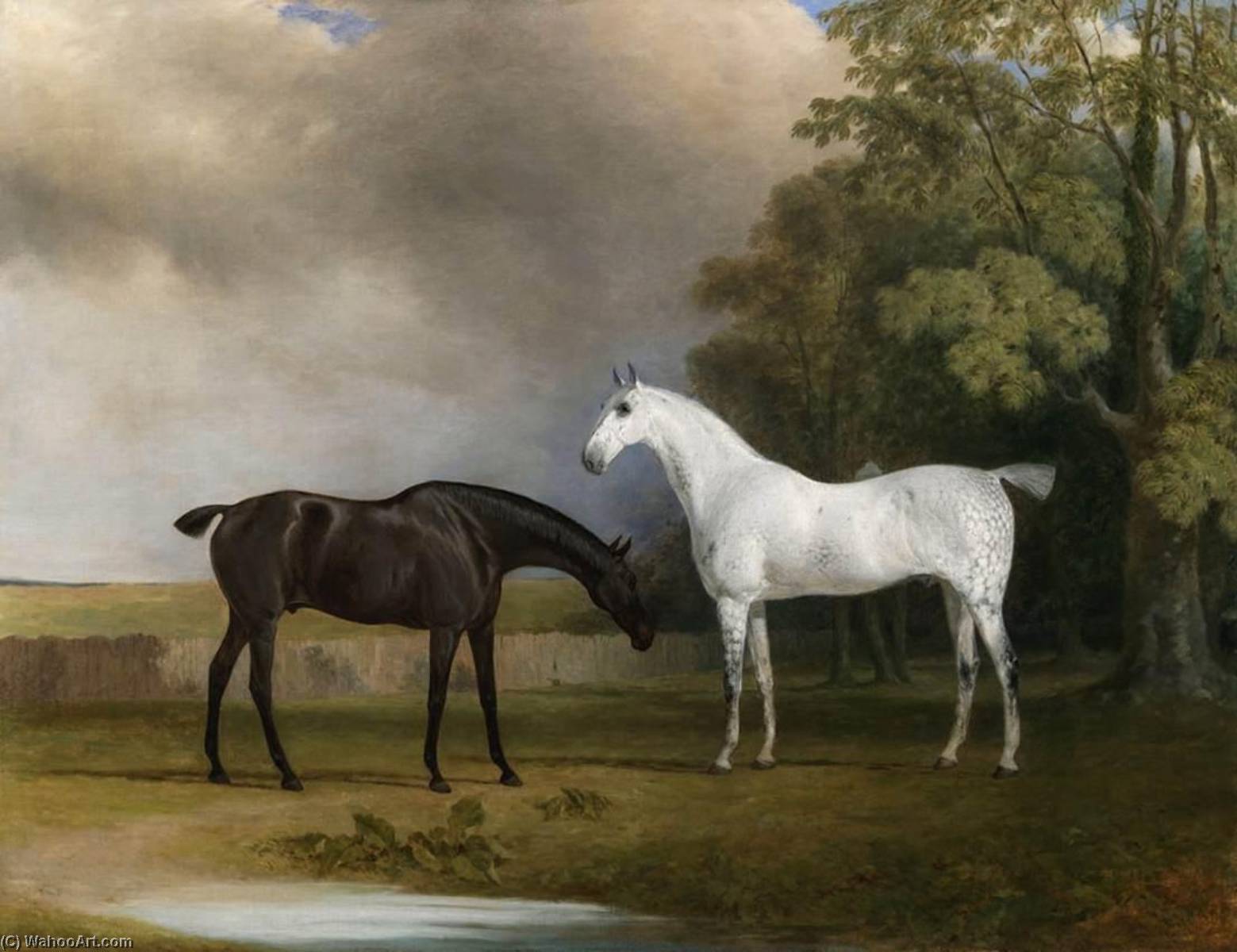 A Dark Bay And A Grey Horse — Sawrey Gilpin