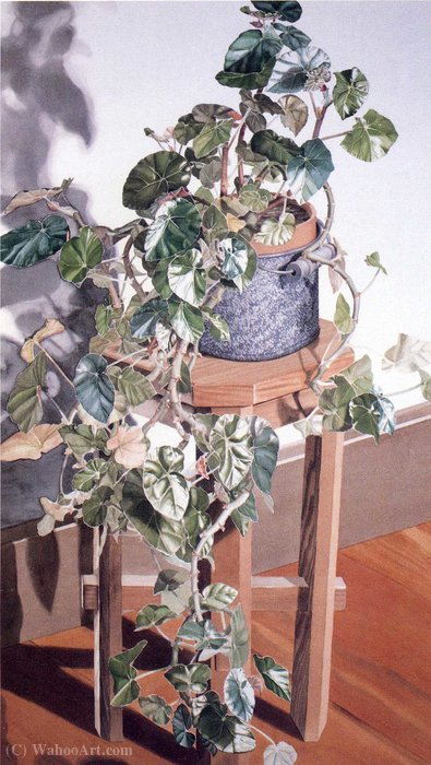 Untitled (492) — Sondra Freckelton