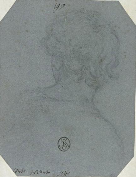 Head Of A Young Man, Back View — Pietro Da Cortona