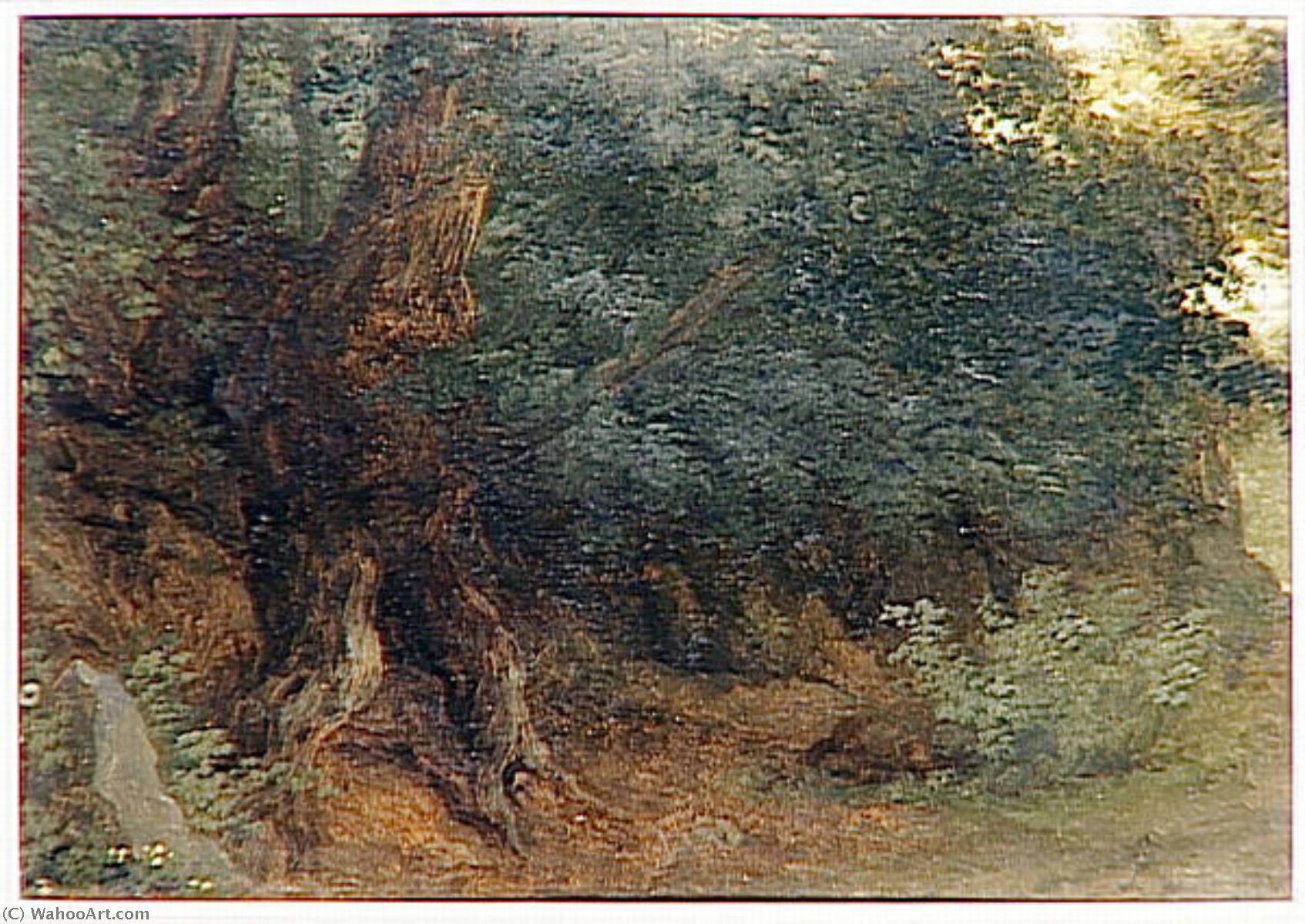 Tronc D'arbre, Racines Et Feuilles — Pierre De Valenciennes