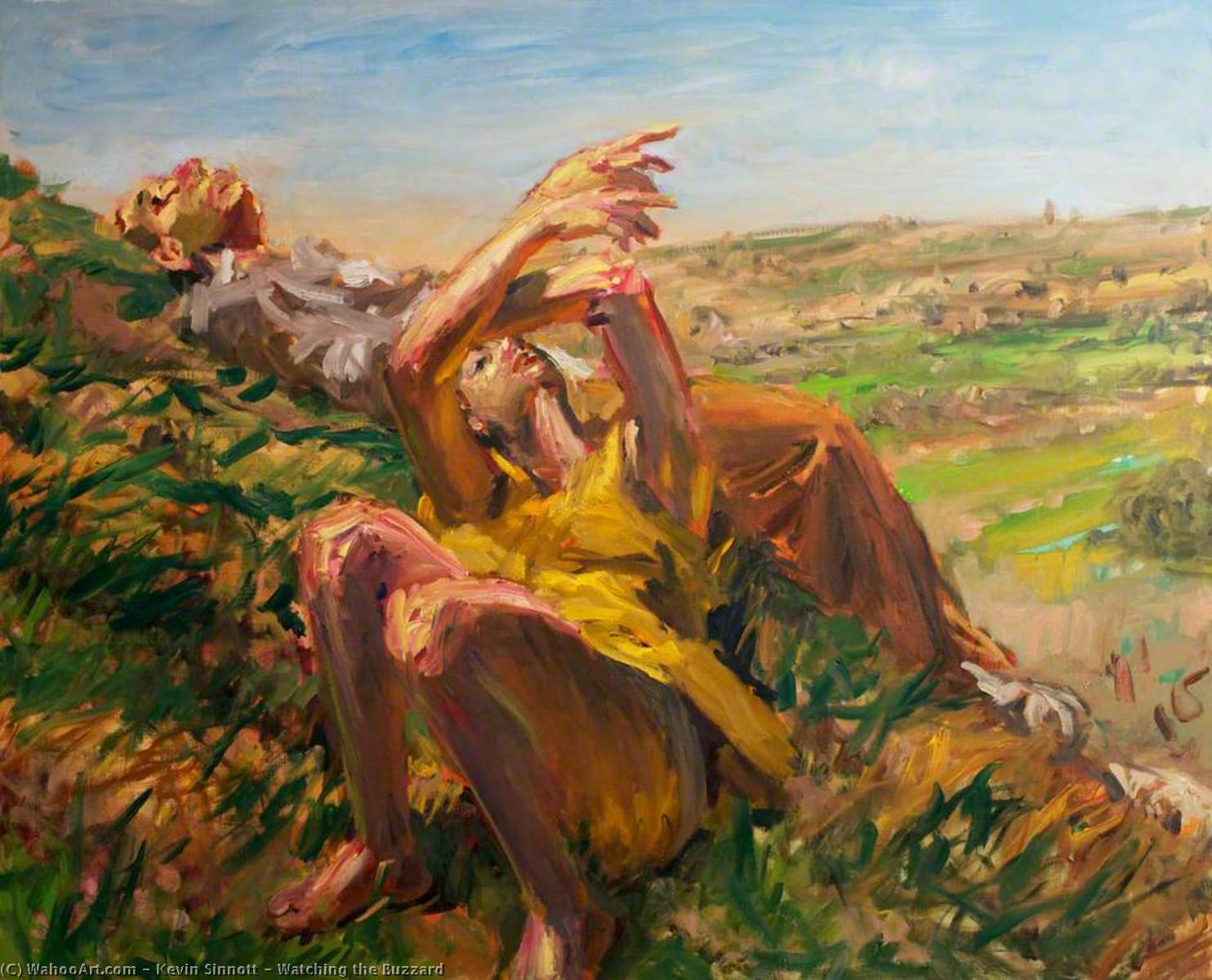 Watching The Buzzard — Kevin Sinnott