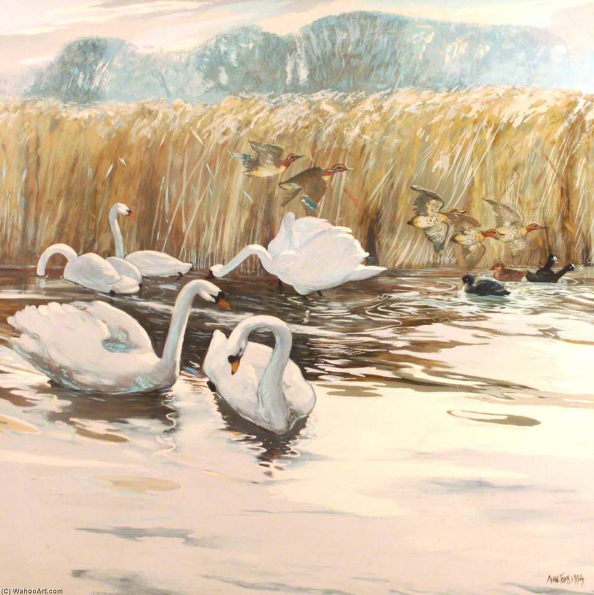 Swans And Ducks In Flight — Anne Toms