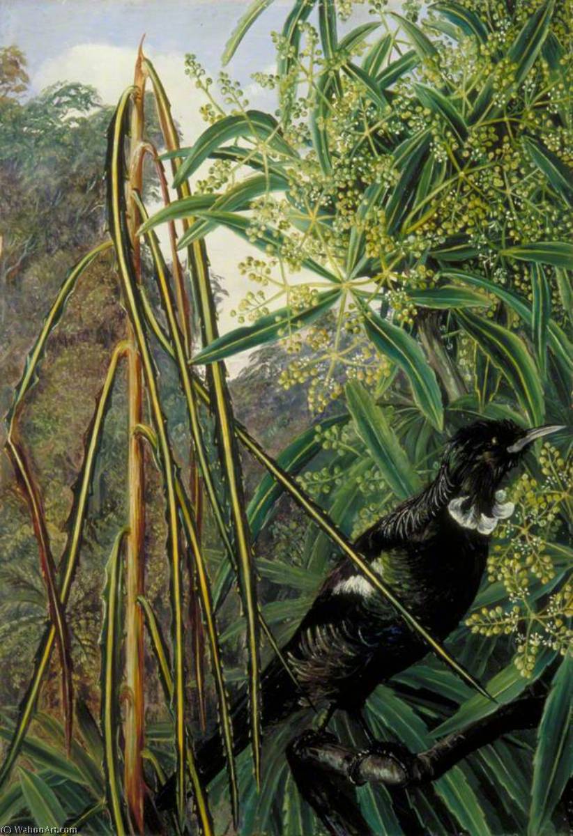 Fishbone Tree And The Parson Bird Of New Zealand — Marijana Nort