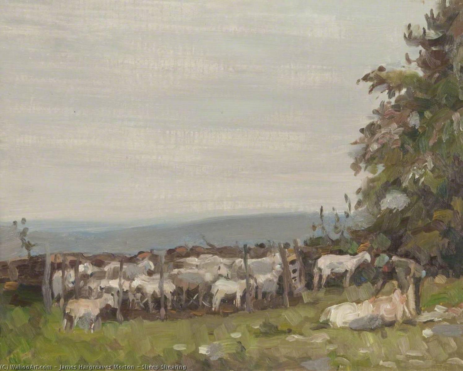 Sheep Shearing — James Hargreaves Morton