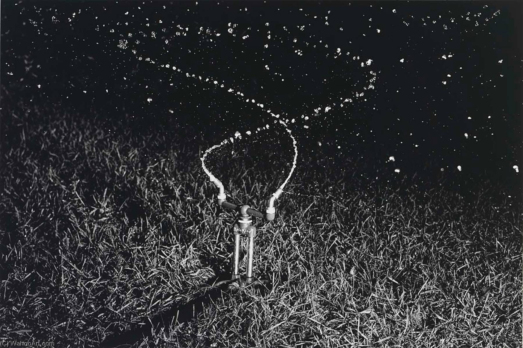 Water Sprinkler — Harold E Edgerton