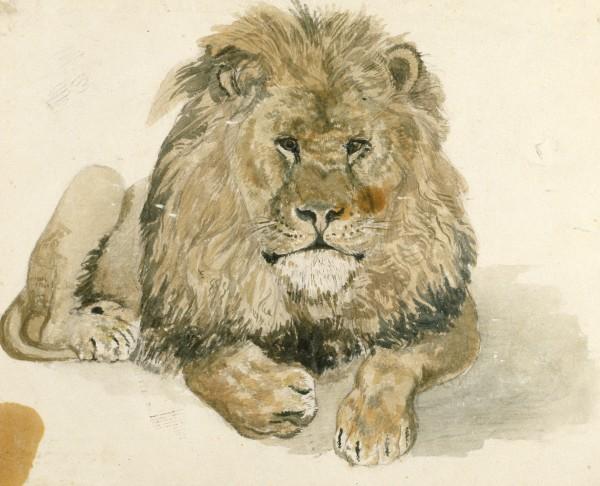 A Lion At The Exeter — John Frederick Lewis